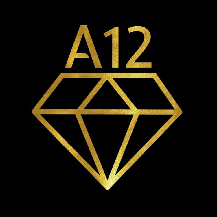 Audet12 (A12) Custom Boards